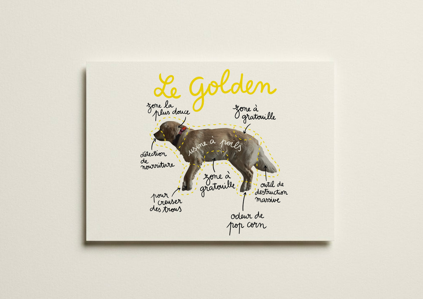 Le Golden