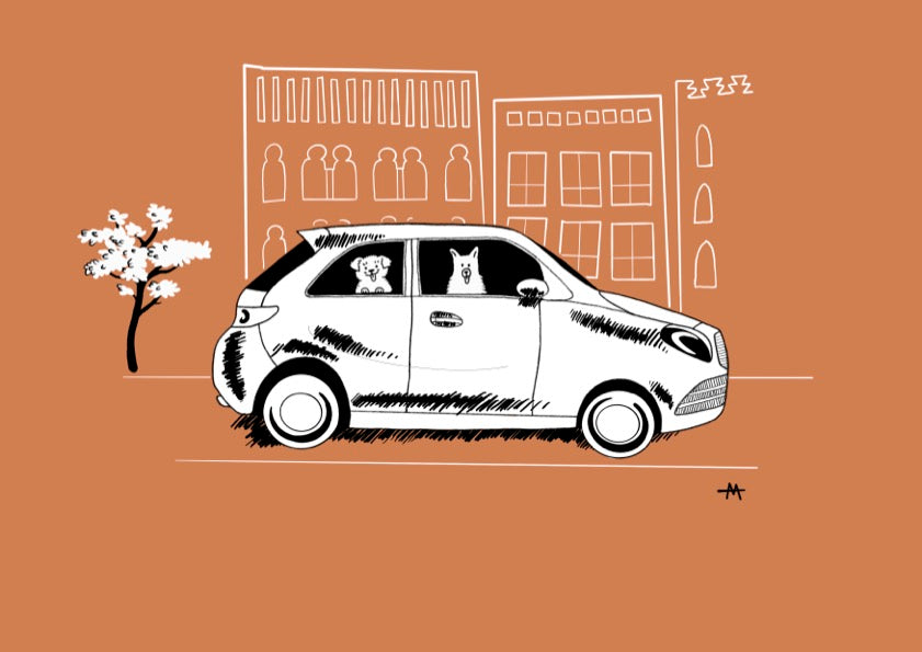 Taxis