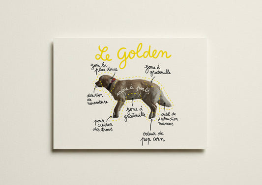 Le Golden