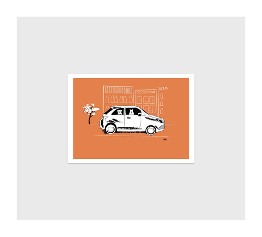 Taxis